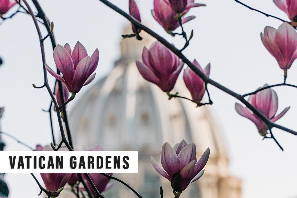 Gardens of Vatican City (Giardini Vaticani)