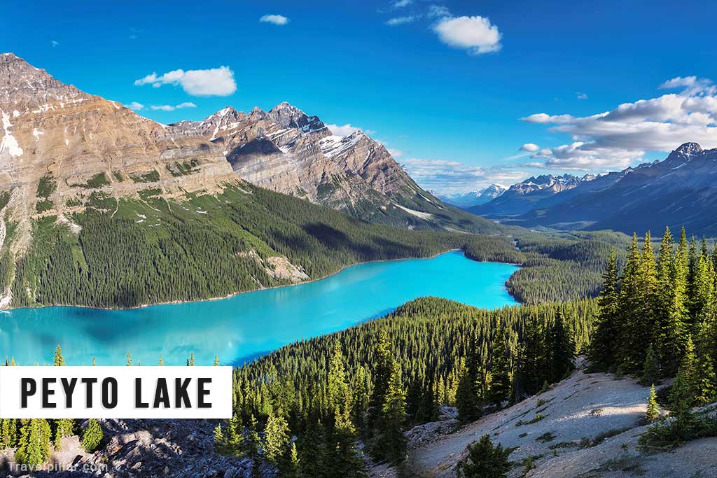 Peyto Lake - Banff National Park Canada
