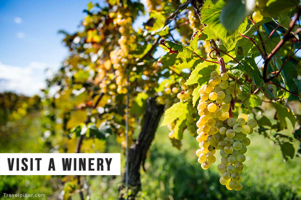 Niagara Winery Tour Canada