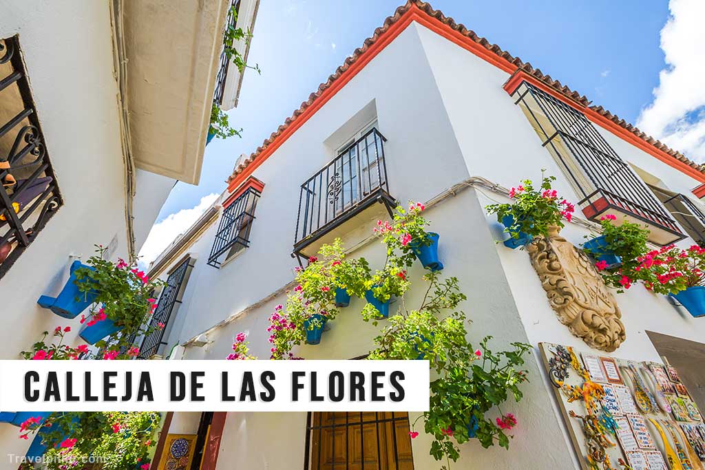 Calleja de las Flores, Cordoba, Spain