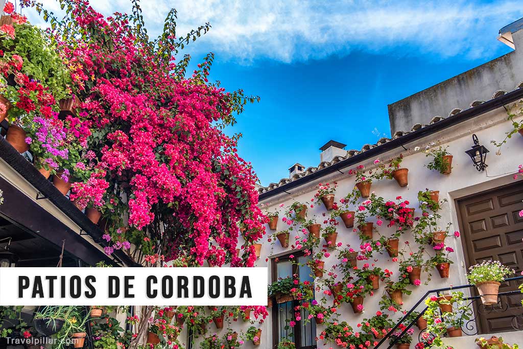 Patios de Cordoba, Spain