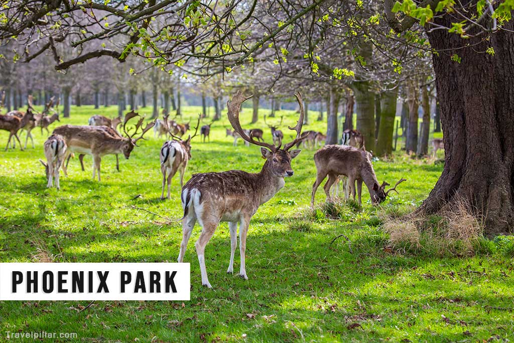Phoenix Park, Dublin Ireland