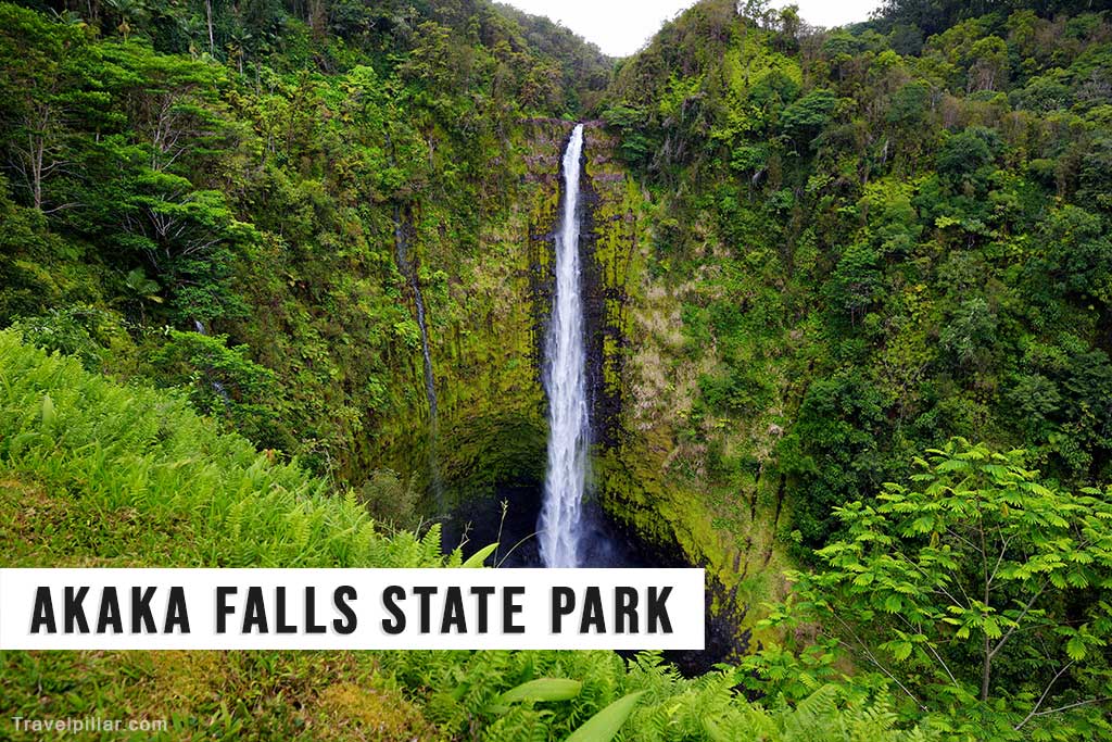 Akaka Falls State Park - Big Island Hawaii