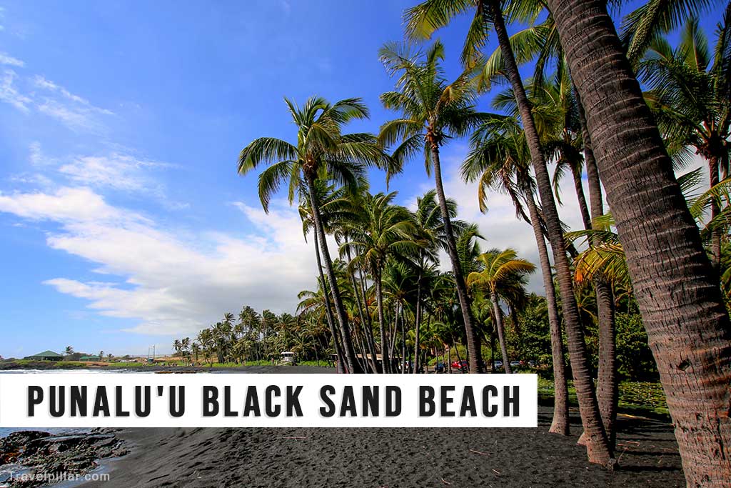 Punalu’u Black Sand Beach - Big Island Hawaii