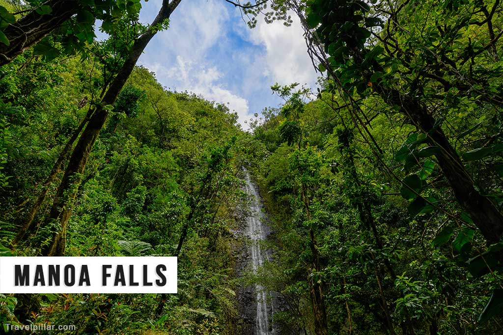 Manoa Falls - Oahu Island, Hawaii
