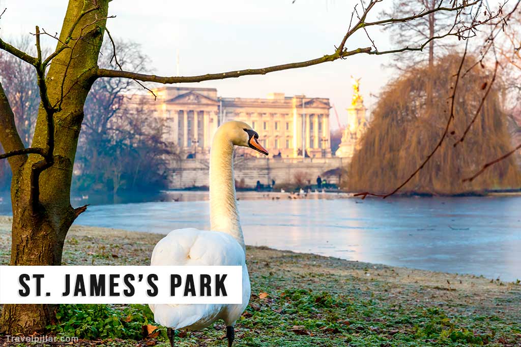 St James's Park looking towards Buckingham Palace in London