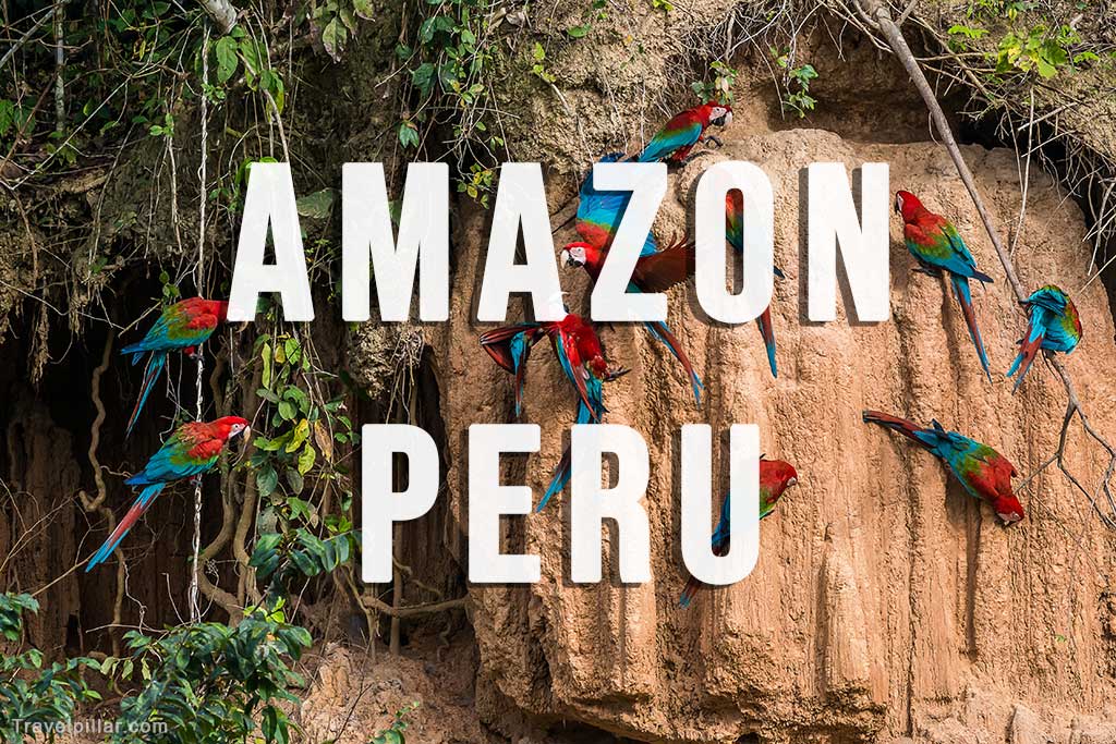 Amazon Rainforest Peru Guide