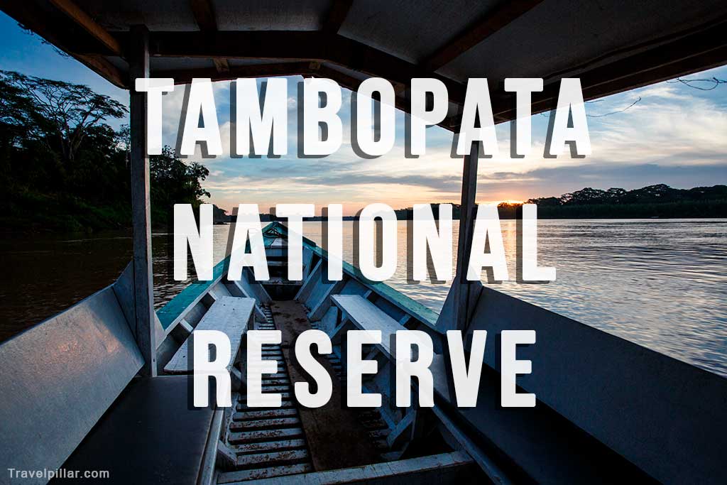 Tambopata National Reserve Peru