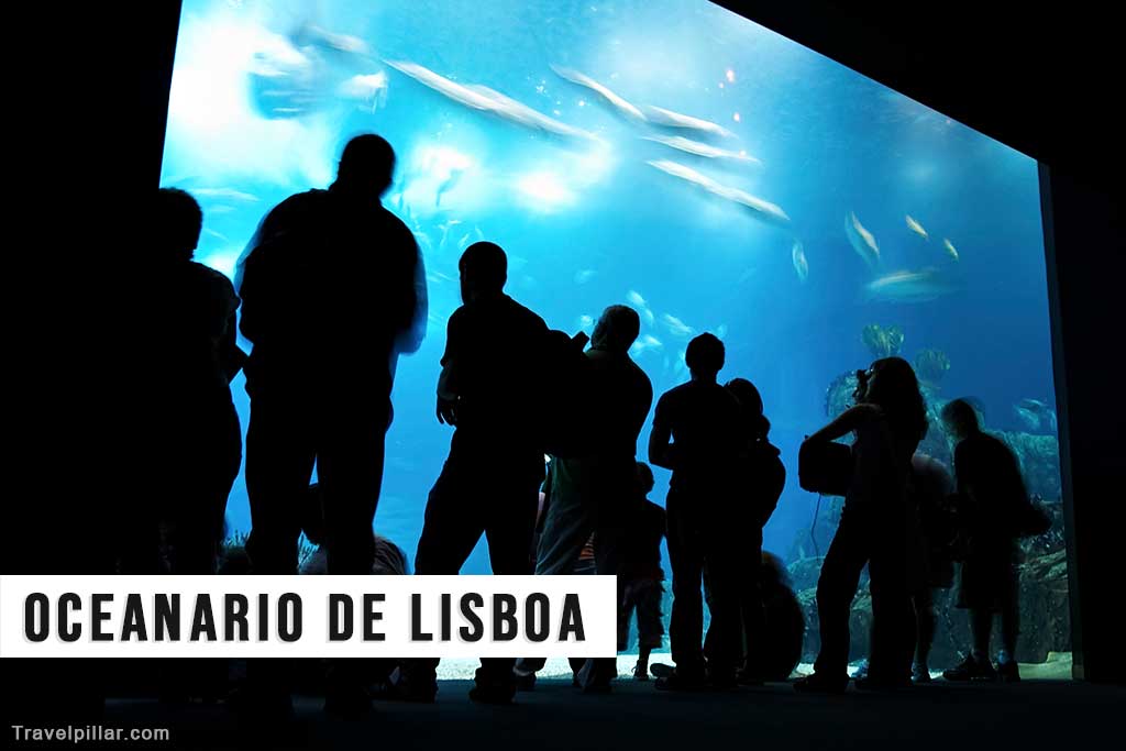 Oceanario de Lisboa - Lisbon Portugal