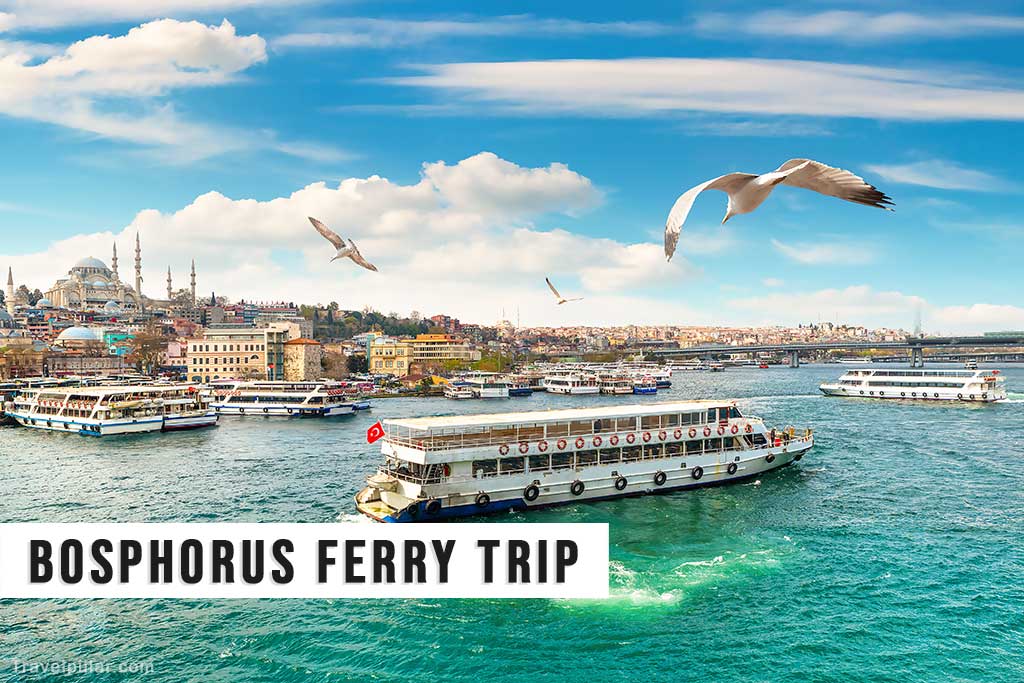 Bosphorus Ferry Trip - Istanbul Turkey