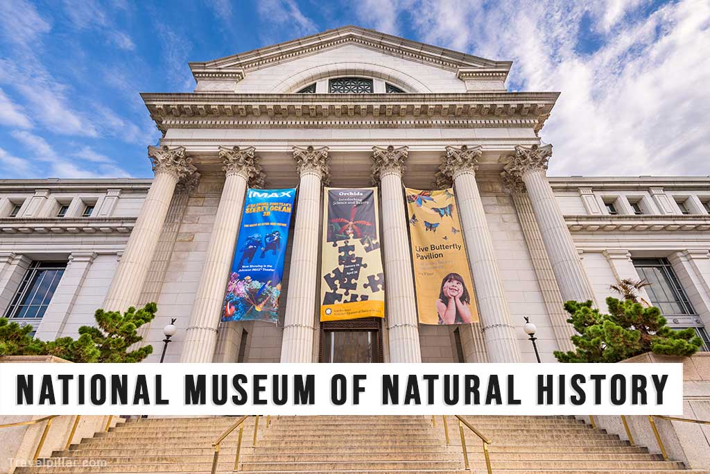 National Museum of Natural History - Washington DC
