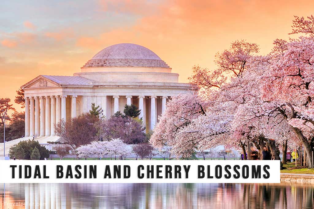 Tidal Basin and Cherry Blossoms