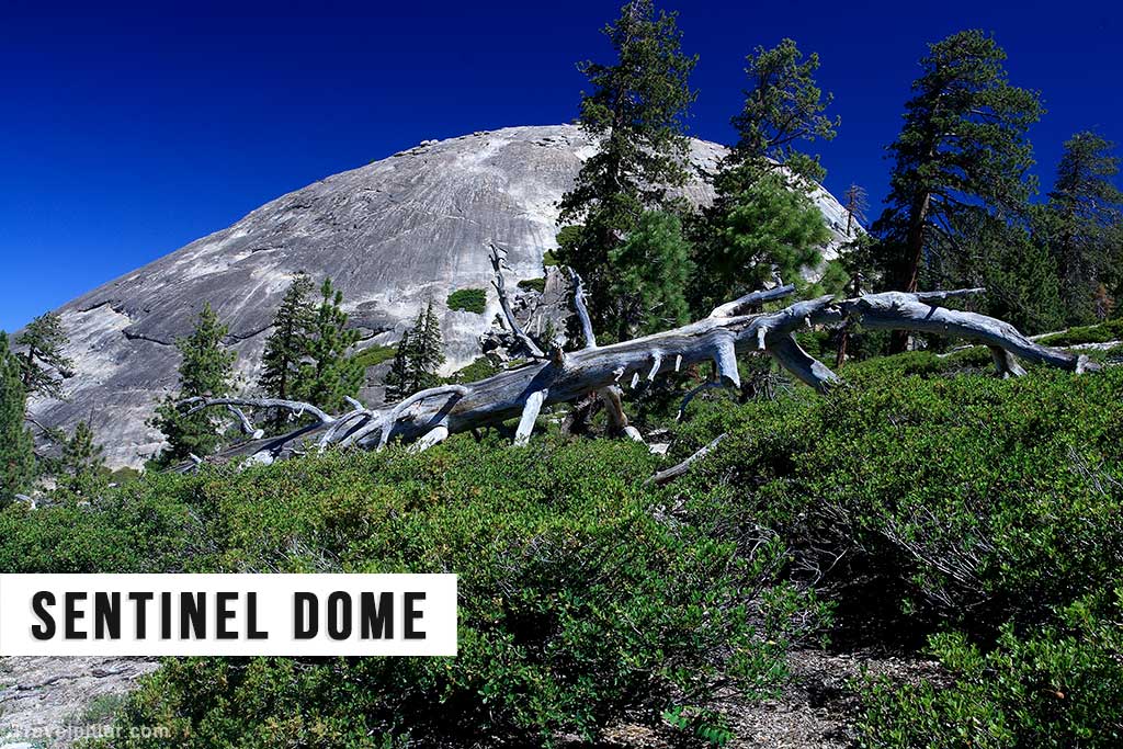 Sentinel Dome - Yosemite National Park