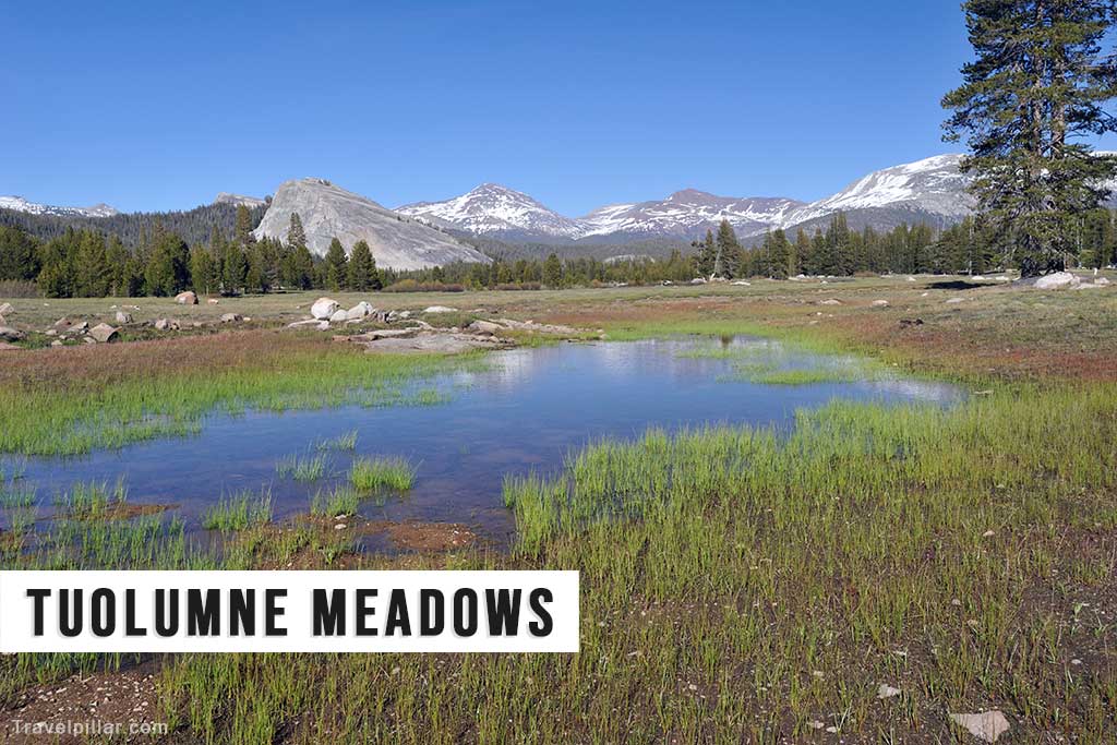 Tuolumne Meadows - Yosemite National Park