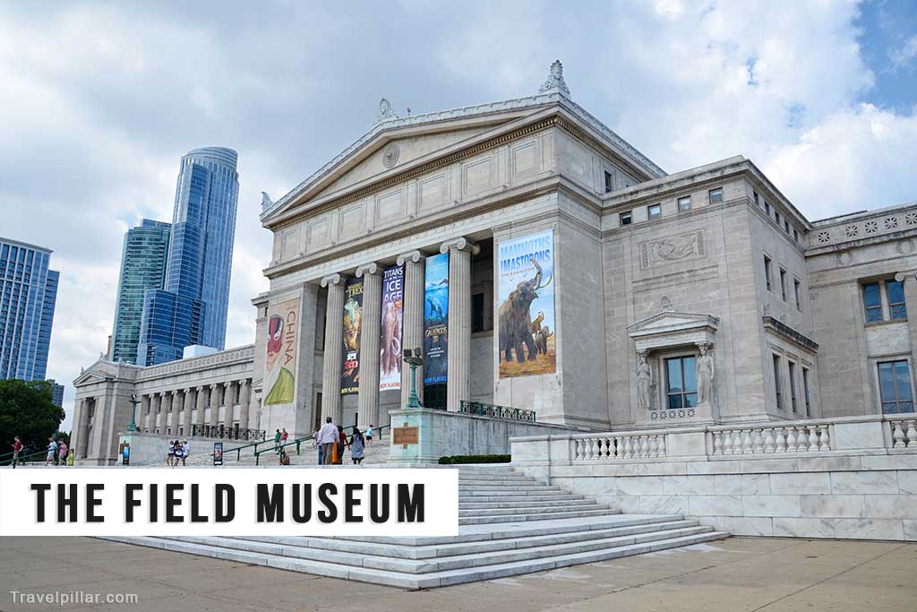 The Field Museum, Chicago, USAThe Field Museum, Chicago, USA