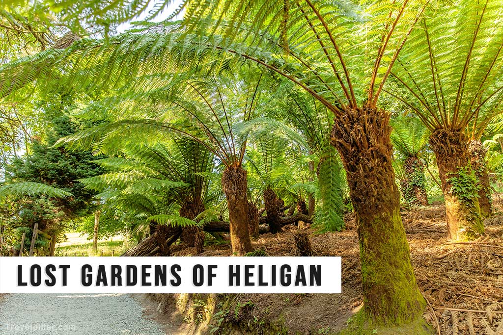 The Lost Gardens of Heligan, Cornwall, England