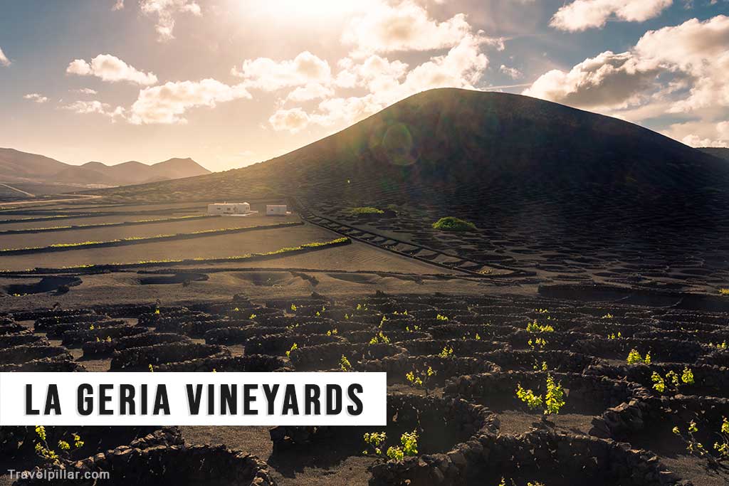 La Geria Vineyards, Lanzarote