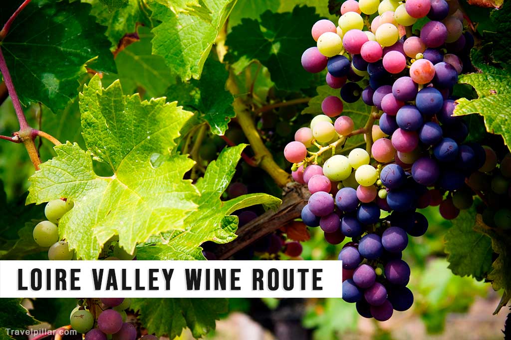 Loire Valley Wine Route, France