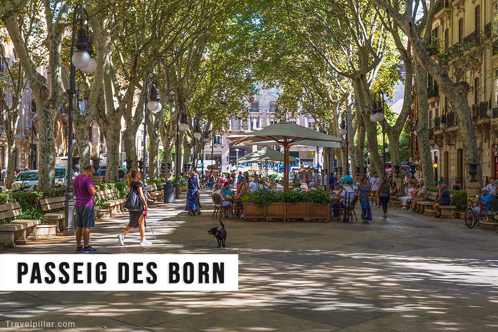 Paseo del Borne (Passeig des Born), Palma de Mallorca, Spain