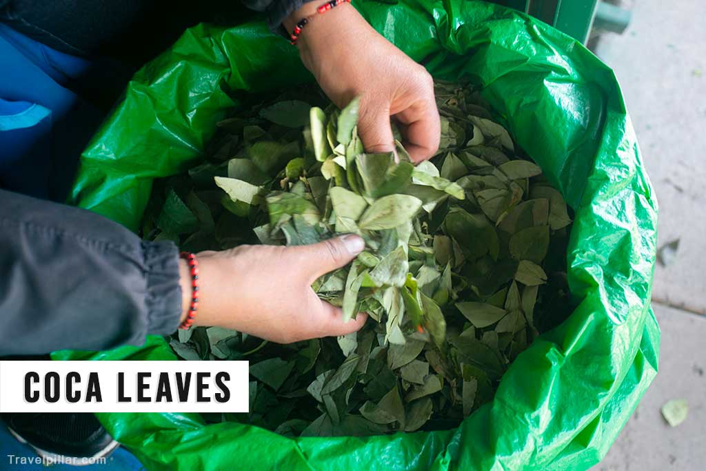 Coca Leaves, Cusco, Peru