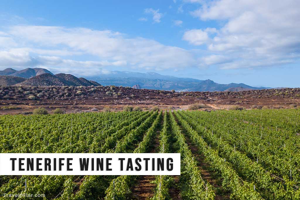 Wine Tasting, Tenerife, Spain