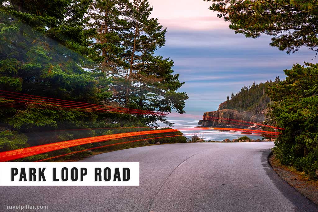 Park Loop Road, Acadia National Park, USA