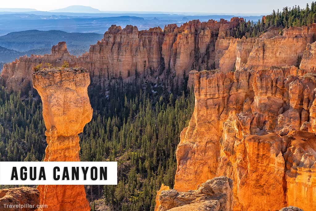 Agua Canyon