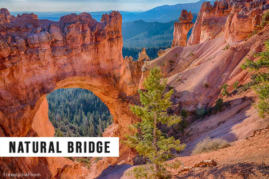 Natural Bridge