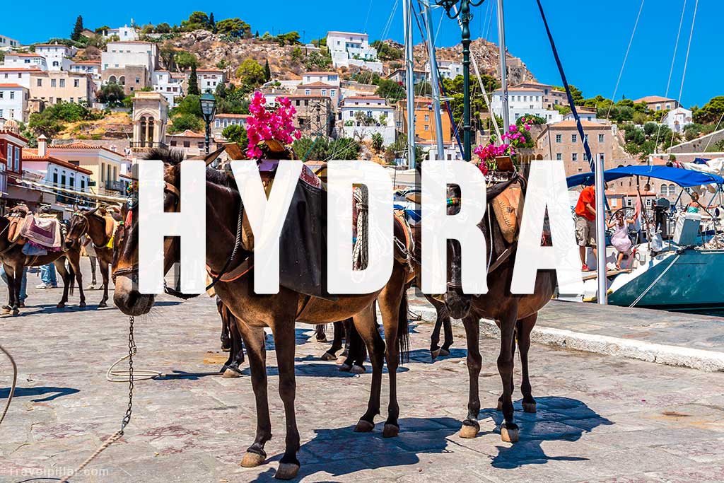 Hydra Visitor Guide