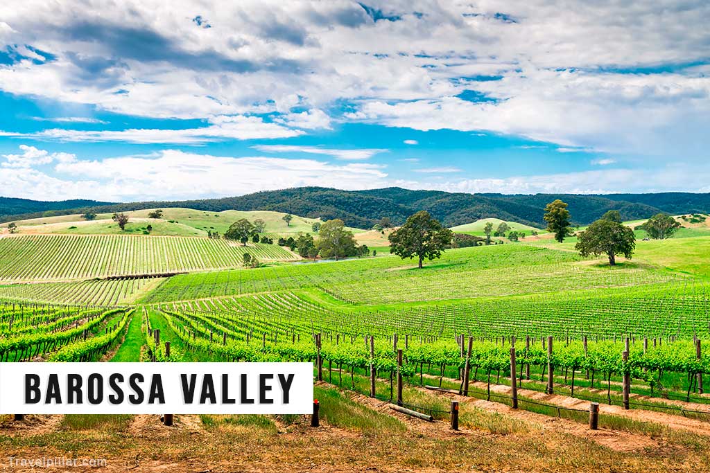 The Barossa Valley, South Australia