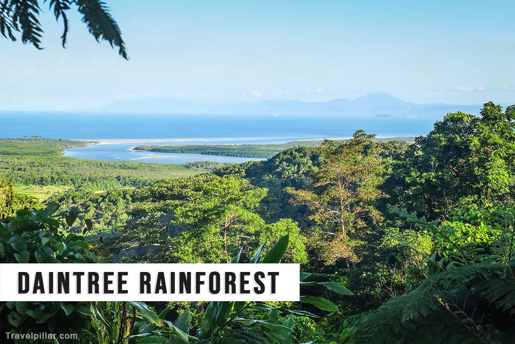 Daintree Rainforest, Australia