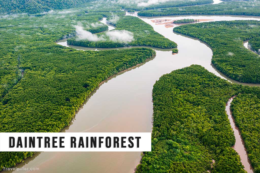 Aerial view of the Daintree Rainforest, Australia