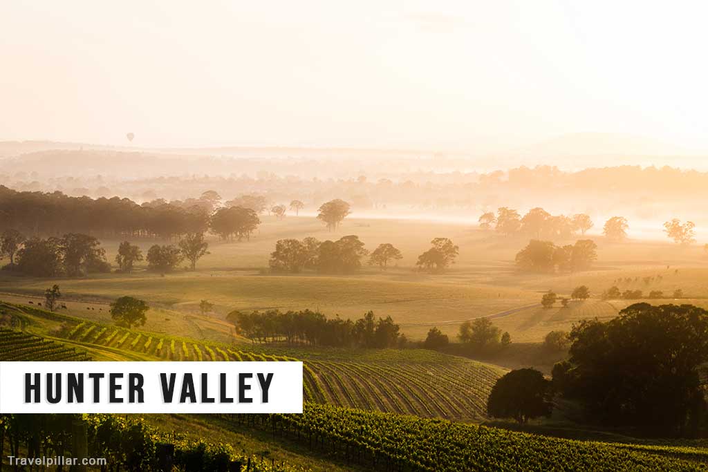 Hunter Valley (wine region), New South Wales, Australia