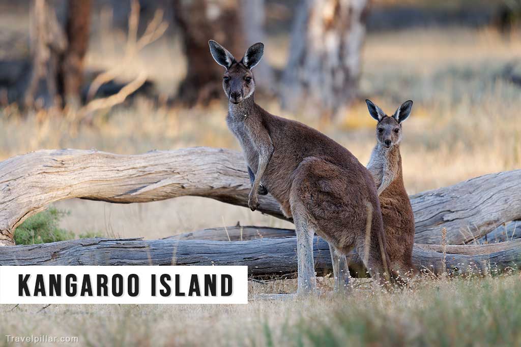 Kangaroo Island, South Australia
