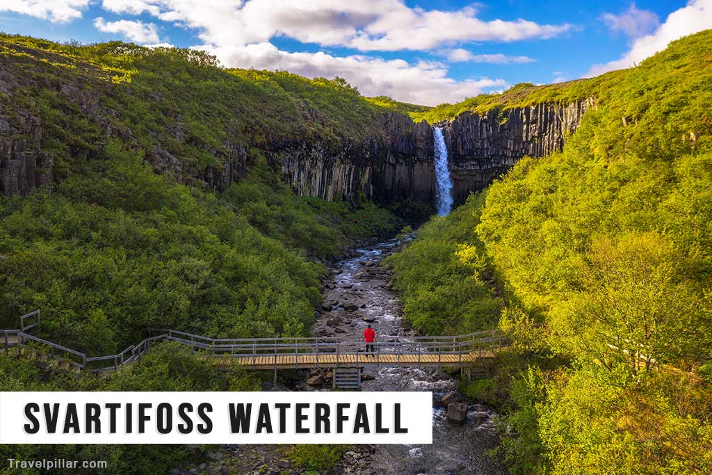 Svartifoss Waterfall, Iceland