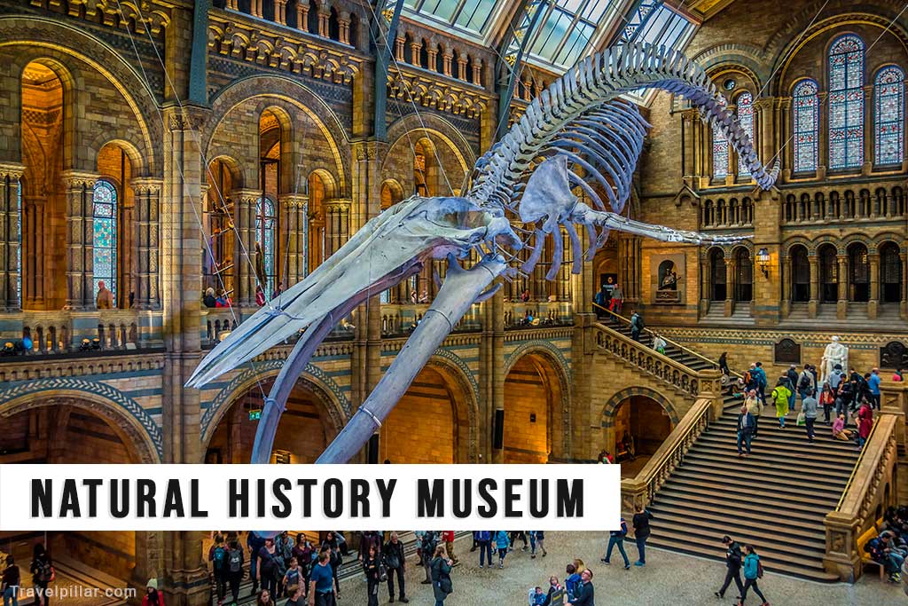Natural History Museum, London