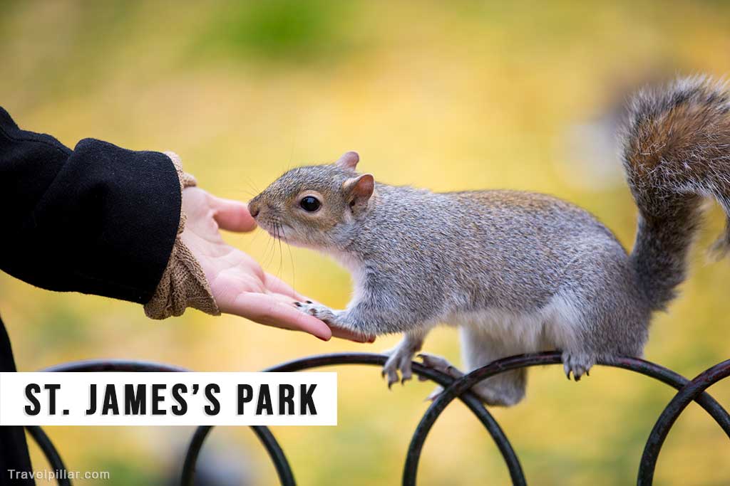 St. James's Park, London