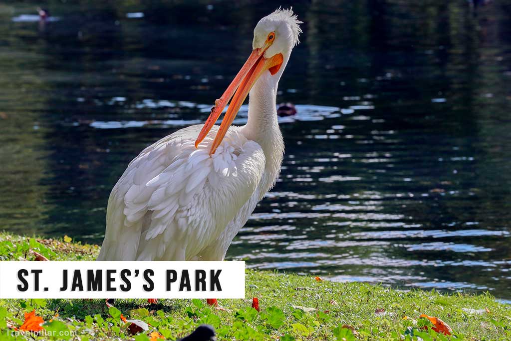 St. James's Park, London