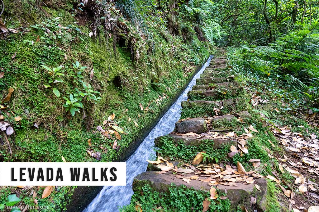 Levada Walks, Madeira, Portugal