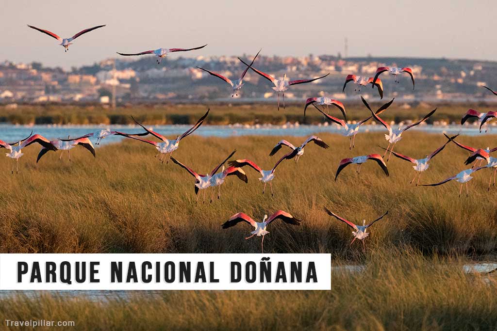 Parque Nacional Doñana, Andalucia, Spain
