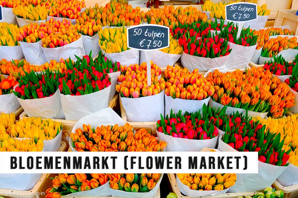 Flower Market, Amsterdam