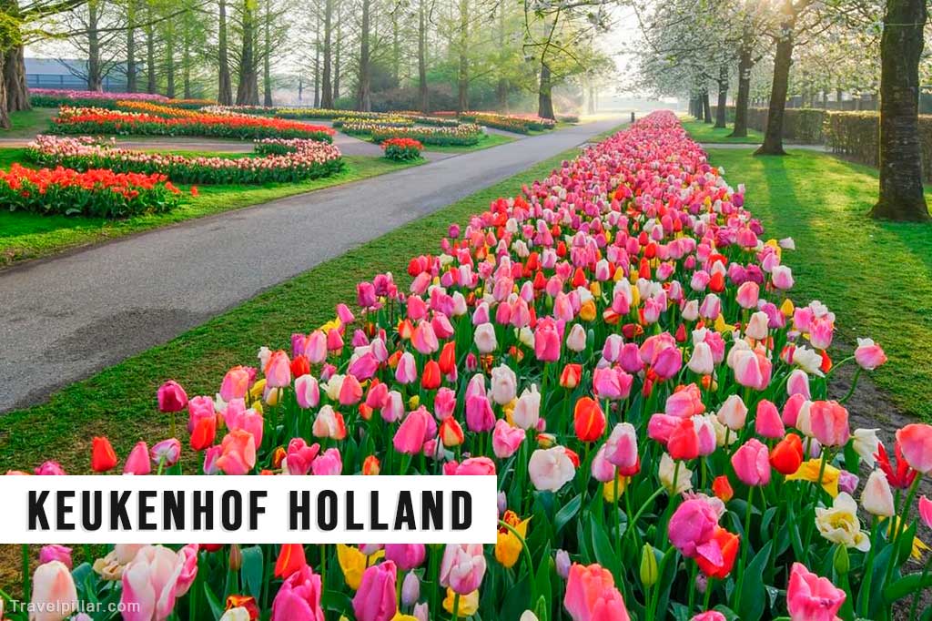 Keukenhof Holland, Amsterdam