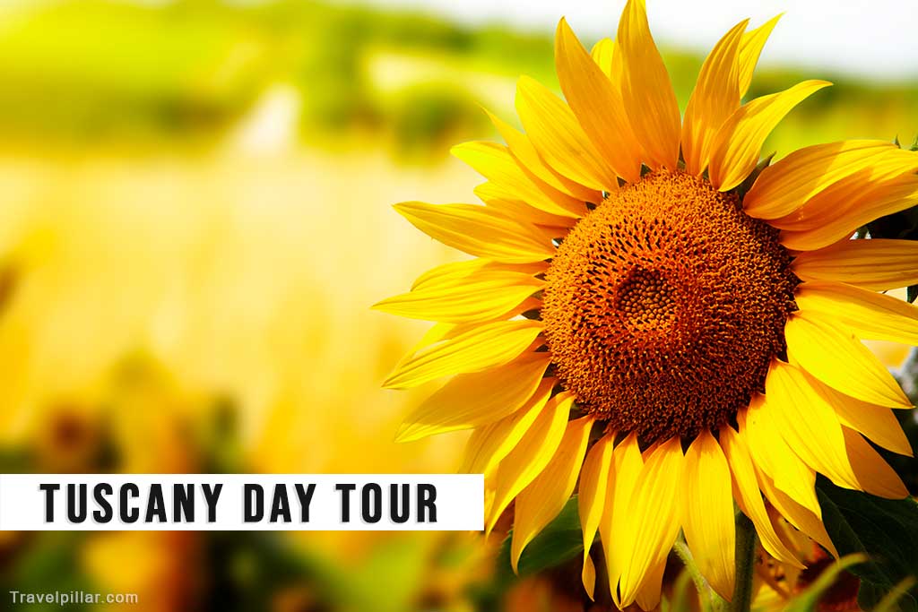 Tuscany Day Tour from Florence