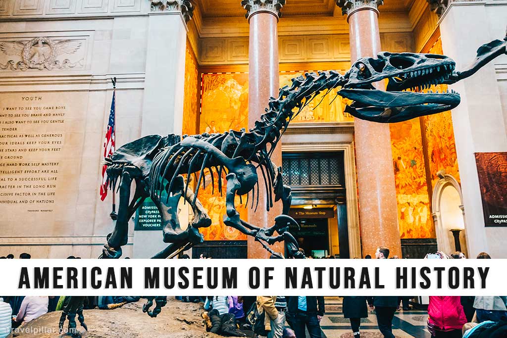 American Museum of Natural History, New York City, USA