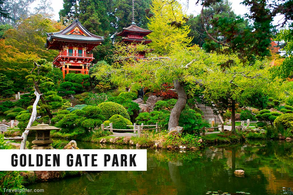Golden Gate Park
