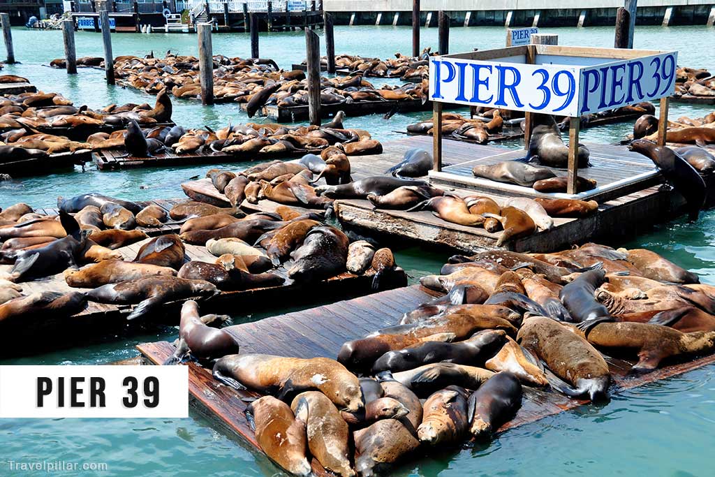 Pier 39