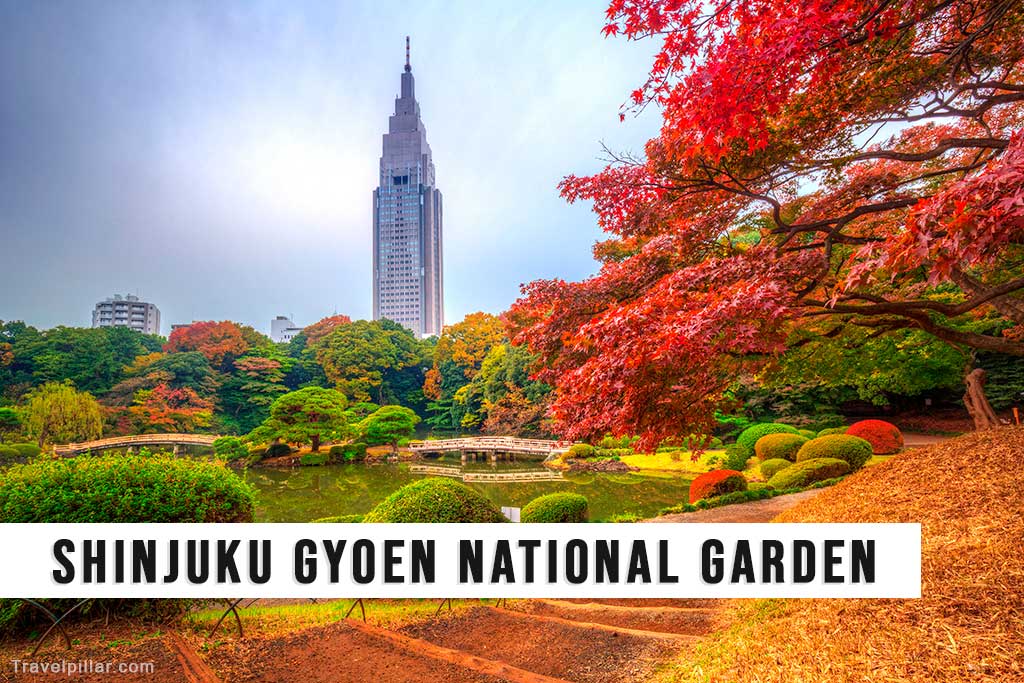 Shinjuku Gyoen National Garden, Tokyo, Japan