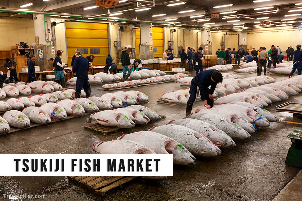Tsukiji Fish Market