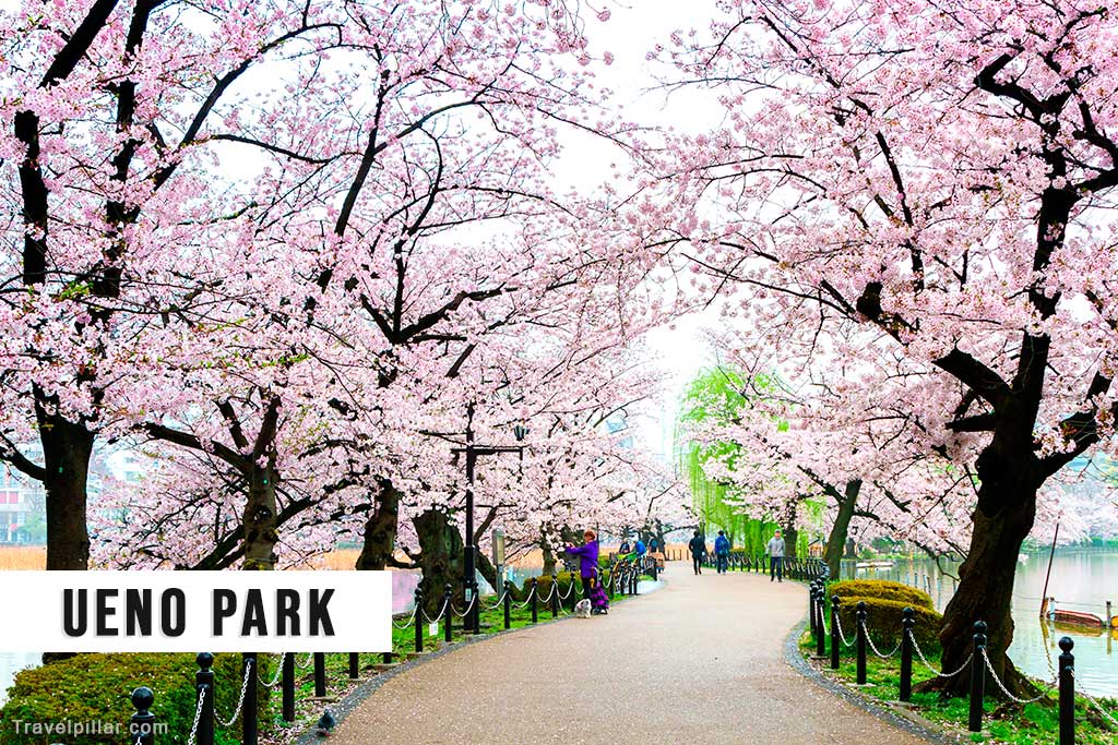 Ueno Park