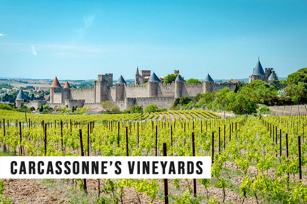 Carcassonne’s Vineyards